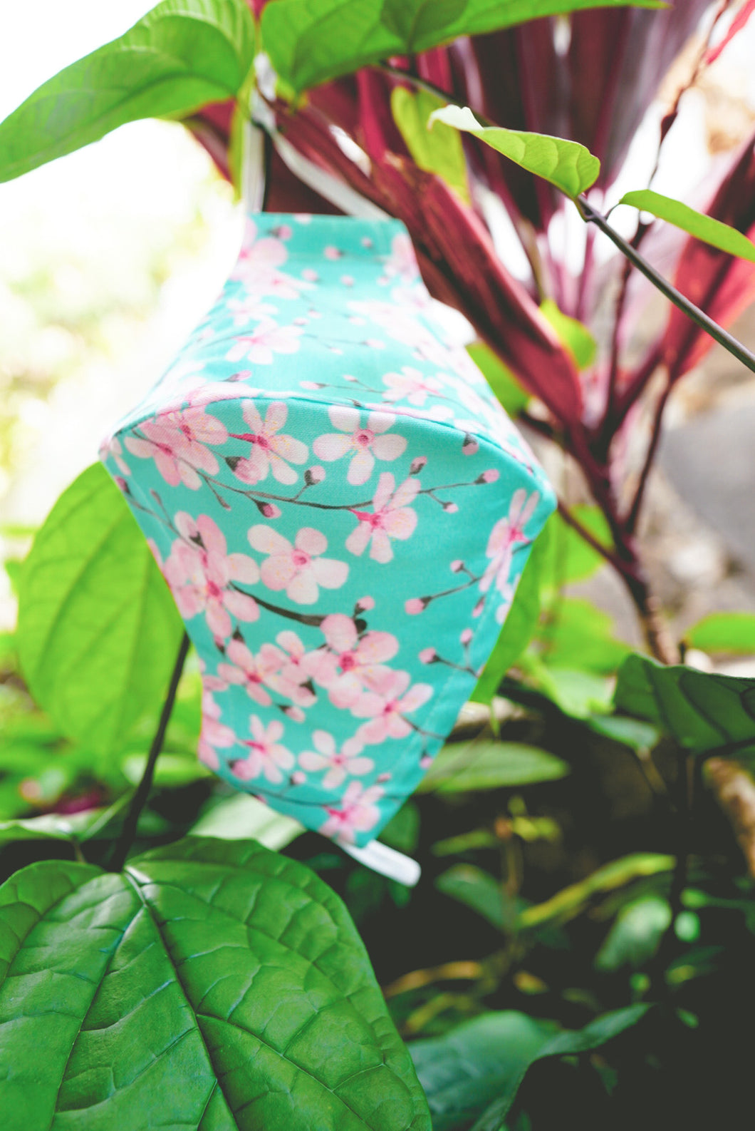 Turquoise Sakura in Bloom